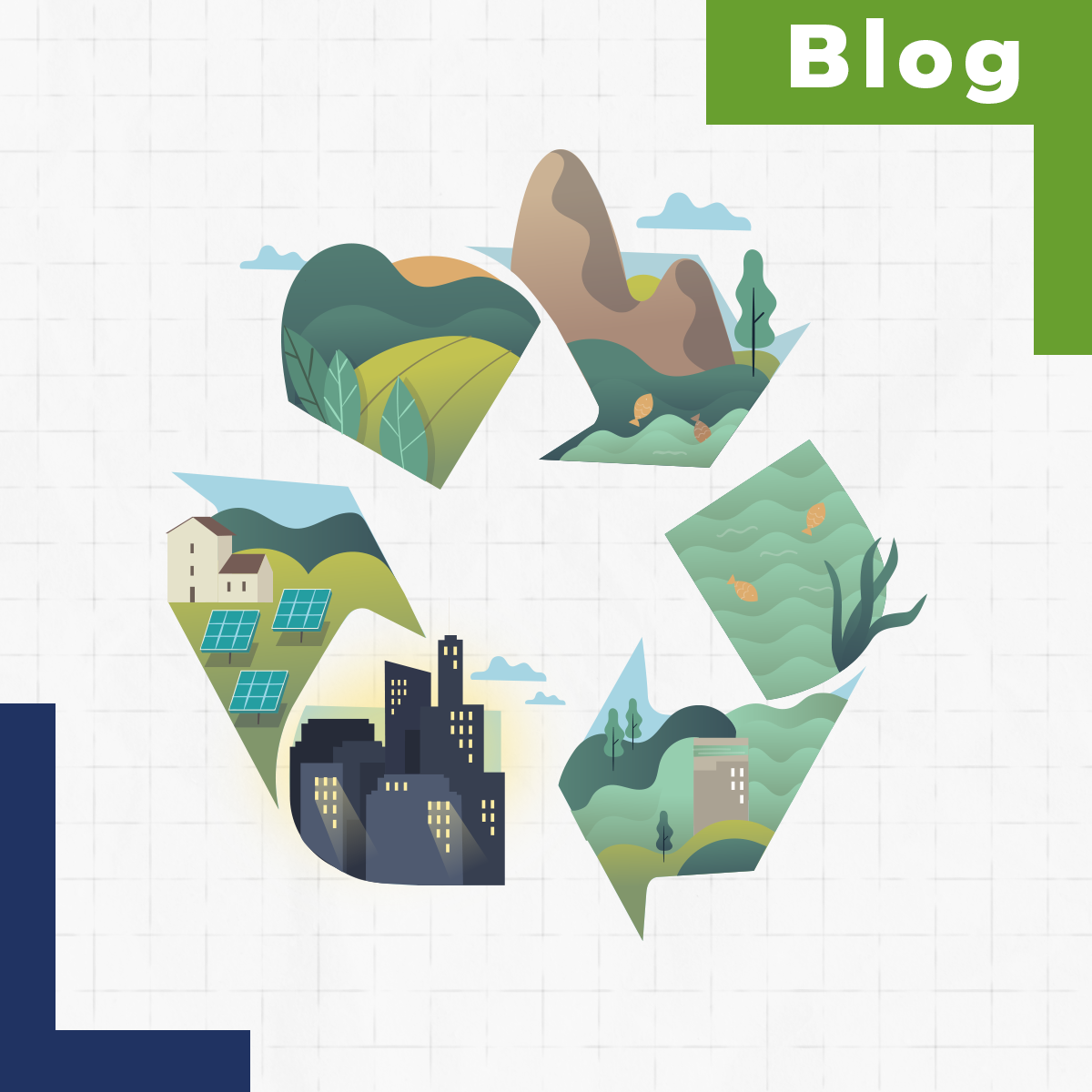 ¿Cuál es el contexto del reciclaje en el mundo? Diferencias con Argentina